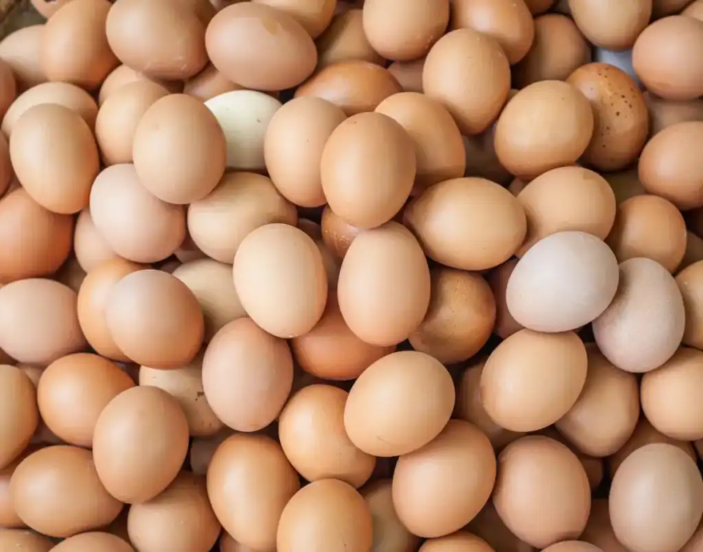 ערך תזונתי ביצה